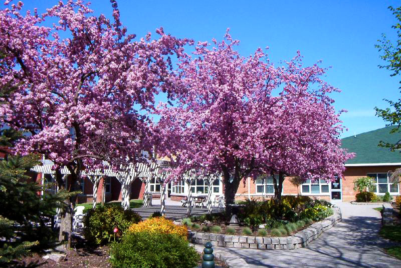 The Dorothy Thompson Memorial Garden in spring bloom at the John Noble Home.